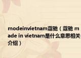 modeinvietnam蔻馳（蔻馳 made in vietnam是什么意思相關(guān)介紹）