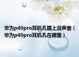 華為p40pro耳機孔插上沒聲音（華為p40pro耳機孔在哪里）