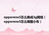 opporeno5怎么換成3g網絡（opporeno5怎么喚醒小布）
