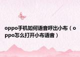 oppo手機(jī)如何語音呼出小布（oppo怎么打開小布語音）