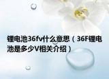 鋰電池36fv什么意思（36F鋰電池是多少V相關介紹）
