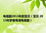 電視劇2013年的寶貝（寶貝 2013年夢(mèng)繼導(dǎo)演電視?。? /></span></a>
                        <h2><a href=