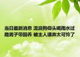 當日最新消息 流浪狗仰頭喝雨水過路男子帶回養(yǎng) 被主人遺棄太可憐了