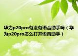 華為p20pro有沒有語音助手嗎（華為p20pro怎么打開語音助手）
