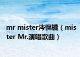 mr mister涔愰槦（mister Mr.演唱歌曲）