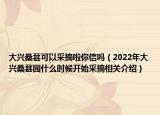 大興桑葚可以采摘啦你信嗎（2022年大興桑葚園什么時候開始采摘相關(guān)介紹）