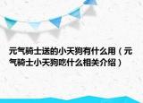 元氣騎士送的小天狗有什么用（元氣騎士小天狗吃什么相關(guān)介紹）