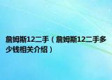 詹姆斯12二手（詹姆斯12二手多少錢相關(guān)介紹）