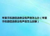 蘋果手機微信消息沒有聲音怎么辦（蘋果手機微信消息沒有聲音怎么回事）