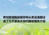 有句歌詞我能愛你嗎從來沒清醒過走了幾千里也不問歸期是相關介紹