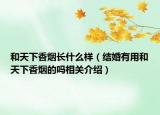 和天下香煙長(zhǎng)什么樣（結(jié)婚有用和天下香煙的嗎相關(guān)介紹）