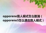 opporeno盲人模式怎么取消（opporeno5怎么退出盲人模式）