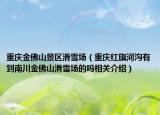 重慶金佛山景區(qū)滑雪場（重慶紅旗河溝有到南川金佛山滑雪場的嗎相關(guān)介紹）
