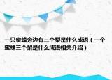 一只蜜蜂旁邊有三個(gè)梨是什么成語(yǔ)（一個(gè)蜜蜂三個(gè)梨是什么成語(yǔ)相關(guān)介紹）