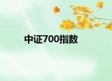 中證700指數(shù)