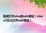 如何打開(kāi)vivo的usb調(diào)試（vivou1怎么打開(kāi)usb調(diào)試）
