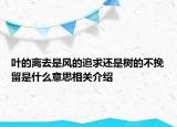 葉的離去是風(fēng)的追求還是樹的不挽留是什么意思相關(guān)介紹