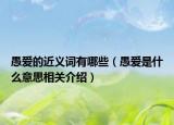 愚愛的近義詞有哪些（愚愛是什么意思相關(guān)介紹）
