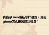 真我gt neo隱私怎樣設置（真我gtneo怎么設置隱私替身）