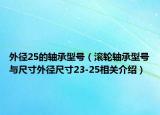 外徑25的軸承型號(hào)（滾輪軸承型號(hào)與尺寸外徑尺寸23-25相關(guān)介紹）