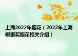 上海2022年煙花（2022年上海哪里買煙花相關(guān)介紹）