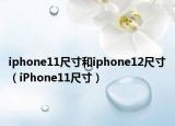 iphone11尺寸和iphone12尺寸（iPhone11尺寸）