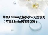 蘋果13mini支持多少w無線快充（蘋果13mini支持5G嗎）