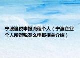 寧波退稅申報流程個人（寧波企業(yè)個人所得稅怎么申報相關(guān)介紹）