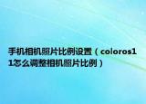 手機相機照片比例設置（coloros11怎么調整相機照片比例）