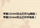 蘋果12mini怎么打開5g網(wǎng)絡(luò)（蘋果12mini怎么打開手電筒）
