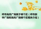 呼市海亮廣場屬于哪個(gè)區(qū)（呼市新華廣場和海亮廣場哪個(gè)區(qū)相關(guān)介紹）