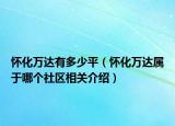 懷化萬達有多少平（懷化萬達屬于哪個社區(qū)相關介紹）