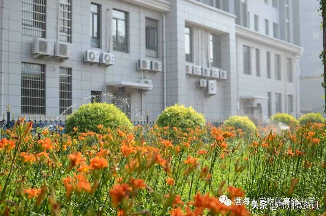 錦州渤海大學(xué)附中、育明、藝高2020年招生計(jì)劃