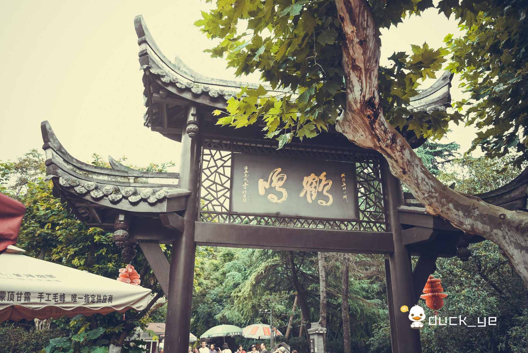 成都旅游必打卡六大景點(diǎn)，首推是個(gè)免費(fèi)公園，寬窄巷子只能排第五