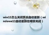 win11怎么關(guān)閉系統(tǒng)自動(dòng)更新（windows11自動(dòng)更新在哪里關(guān)閉）
