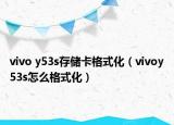 vivo y53s存儲(chǔ)卡格式化（vivoy53s怎么格式化）
