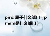 pmc 屬于什么部門（pmam是什么部門）
