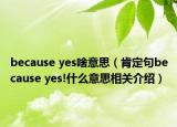 because yes啥意思（肯定句because yes!什么意思相關(guān)介紹）