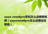 oppo reno6pro手機(jī)怎么設(shè)置壁紙啊（opporeno6pro怎么設(shè)置動態(tài)壁紙）
