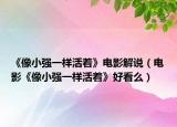 《像小強(qiáng)一樣活著》電影解說（電影《像小強(qiáng)一樣活著》好看么）