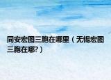 同安宏圖三胞在哪里（無錫宏圖三胞在哪?）