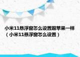 小米11懸浮窗怎么設置跟蘋果一樣（小米11懸浮窗怎么設置）
