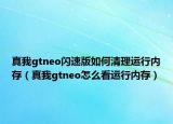 真我gtneo閃速版如何清理運(yùn)行內(nèi)存（真我gtneo怎么看運(yùn)行內(nèi)存）