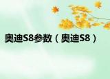 奧迪S8參數(shù)（奧迪S8）