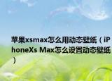 蘋果xsmax怎么用動(dòng)態(tài)壁紙（iPhoneXs Max怎么設(shè)置動(dòng)態(tài)壁紙）