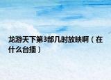 龍游天下第3部幾時(shí)放映?。ㄔ谑裁磁_播）