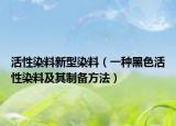 活性染料新型染料（一種黑色活性染料及其制備方法）