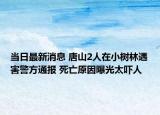 當(dāng)日最新消息 唐山2人在小樹林遇害警方通報 死亡原因曝光太嚇人