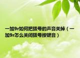 一加9r如何把撥號的聲音關(guān)掉（一加9r怎么關(guān)閉撥號按鍵音）