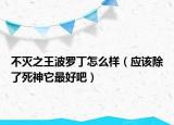 不滅之王波羅丁怎么樣（應(yīng)該除了死神它最好吧）